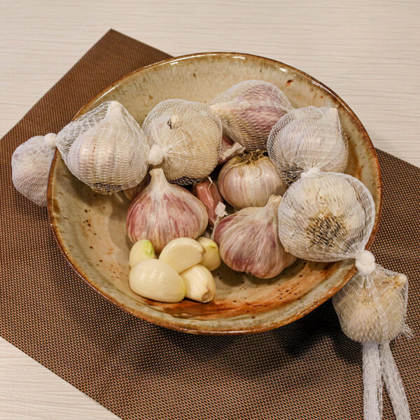 Montana Giant Garlic - Image 8